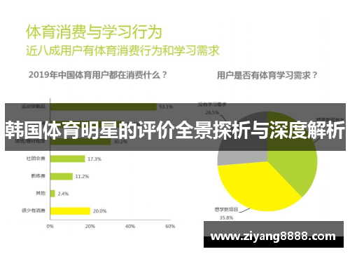 韩国体育明星的评价全景探析与深度解析